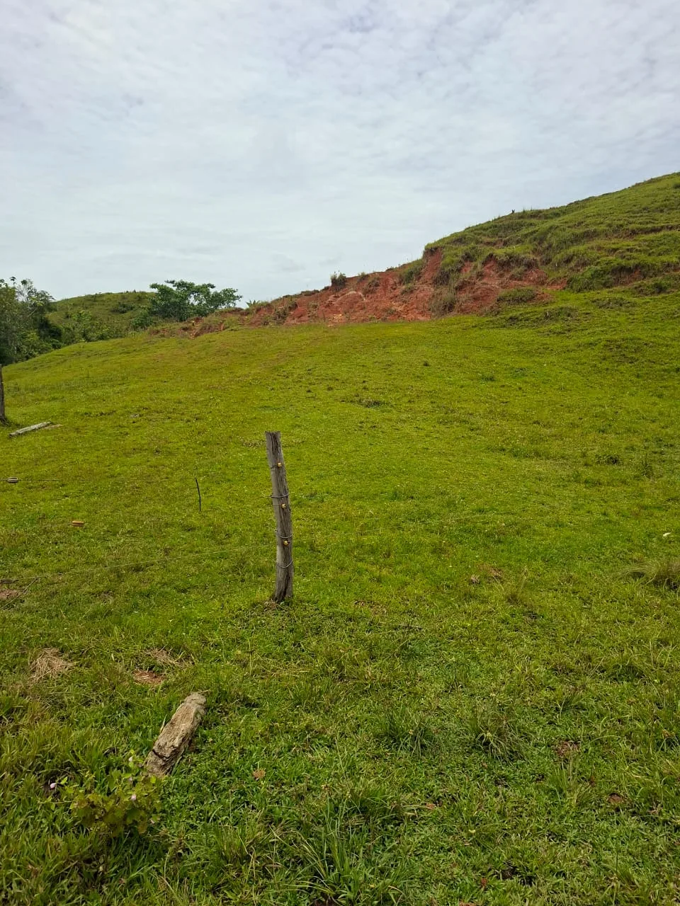 FINCA EN EL CAQUETA ENTRE PUERTO RICO Y SANVICENTE, EN LA VEREDA RIECITO - Foto 17