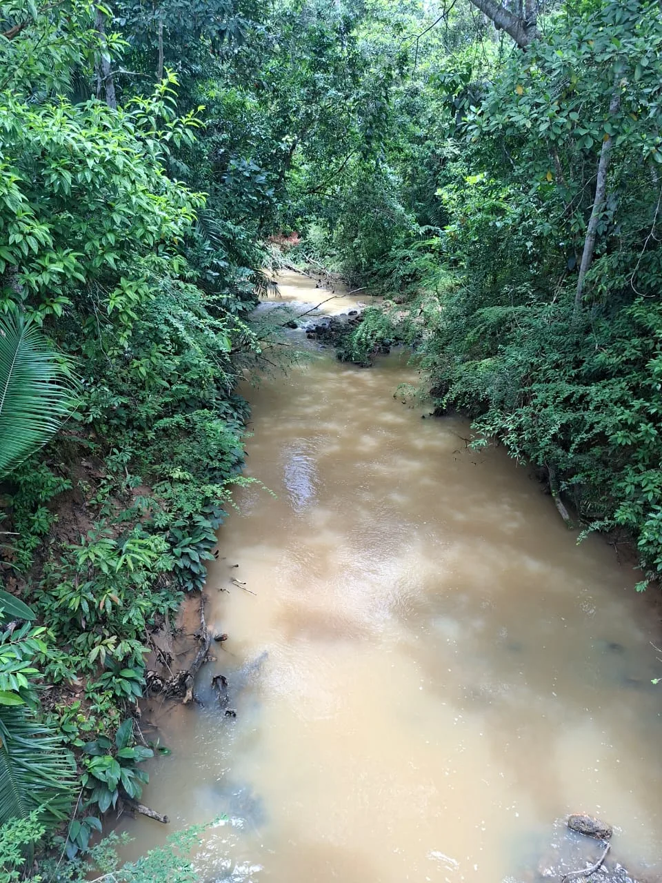 FINCA EN EL CAQUETA ENTRE PUERTO RICO Y SANVICENTE, EN LA VEREDA RIECITO - Foto 31