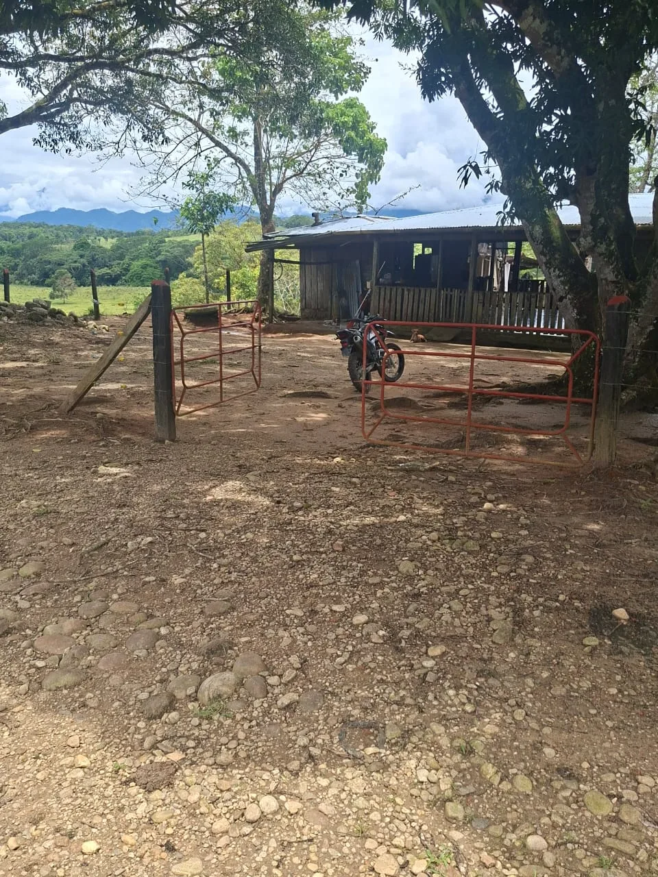 FINCA EN EL CAQUETA ENTRE PUERTO RICO Y SANVICENTE, EN LA VEREDA RIECITO - Foto 27