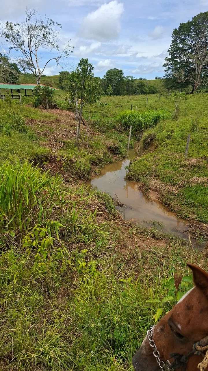 FINCA EN EL CAQUETA ENTRE PUERTO RICO Y SANVICENTE, EN LA VEREDA RIECITO - Foto 29