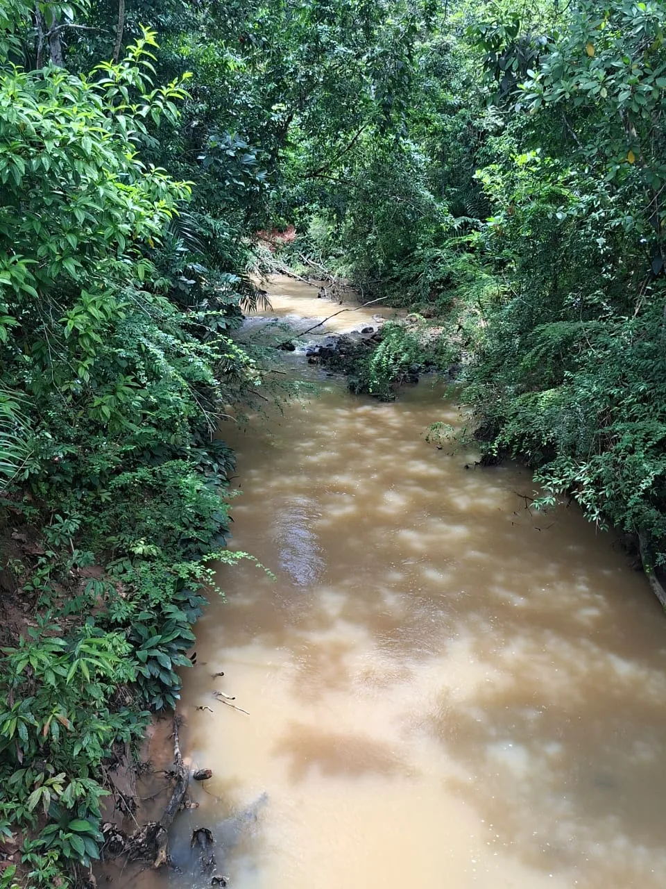 FINCA EN EL CAQUETA ENTRE PUERTO RICO Y SANVICENTE, EN LA VEREDA RIECITO - Foto 26